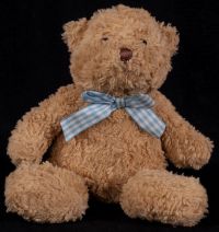 Carters Prestige Teddy Bear Musical Plush Baby Lovey